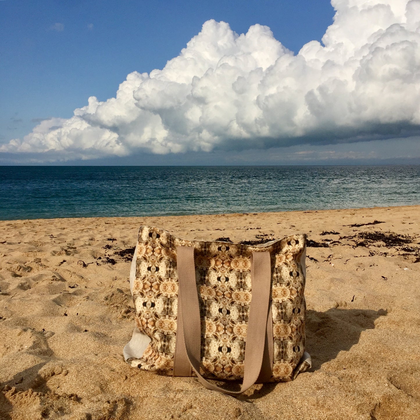 <img src=IMG_E0847_le_grand-cabas_colette.jpg" alt="